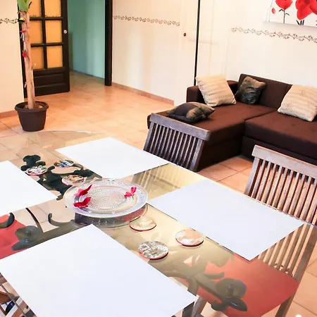 Coquelicot * 尼斯